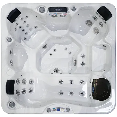 Avalon EC-849L hot tubs for sale in Placentia